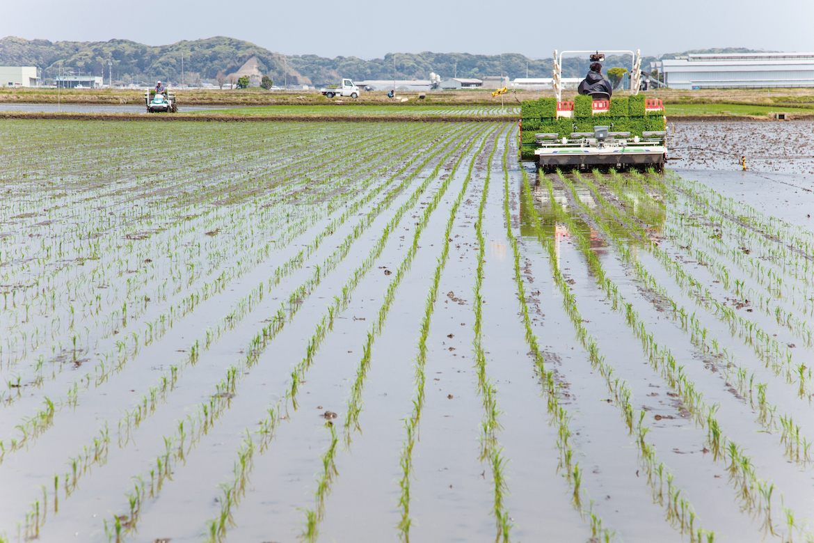 ＜まちづくり座談会＞　移住者×地元出身者に聞くリアルな「旭市の暮らし」 | みんなであさひ