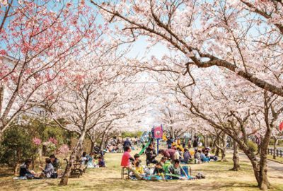 自然・食・イベント・祭事