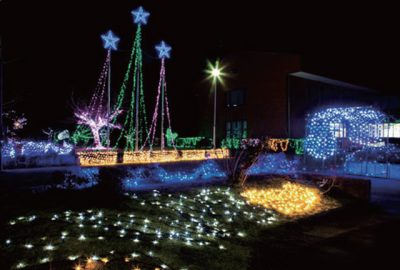 自然・食・イベント・祭事