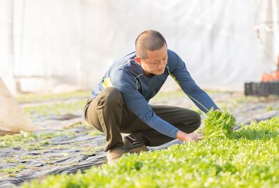 各種支援・補助金