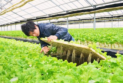 あさひで働く・住む