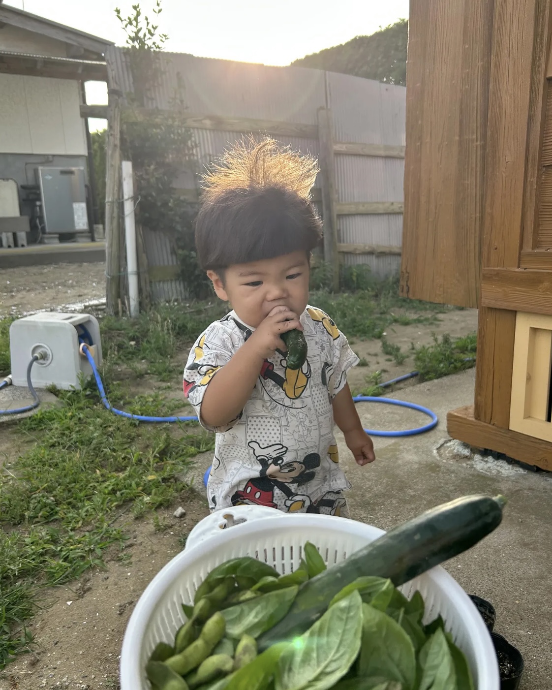 ダンスインストラクター：榎本 笑梨花 さん | サーフィンであさひ